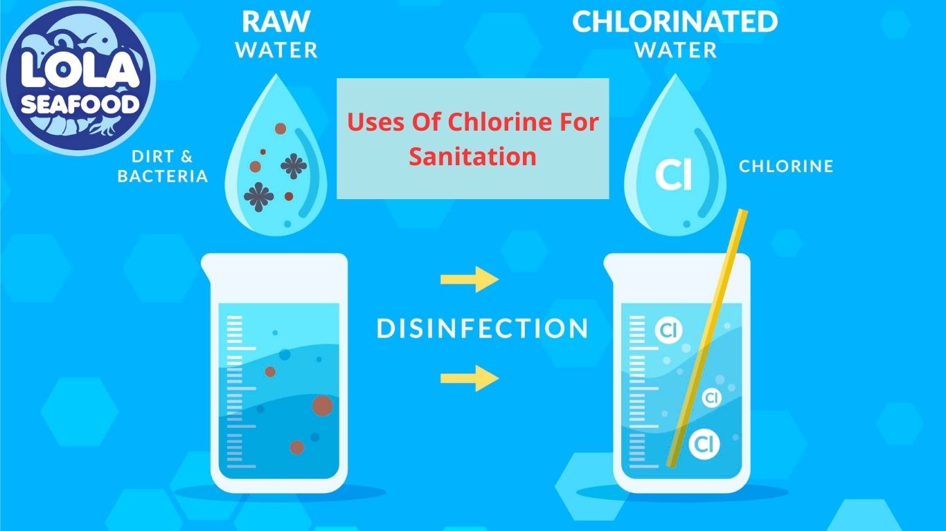 Uses Of Chlorine For Sanitation